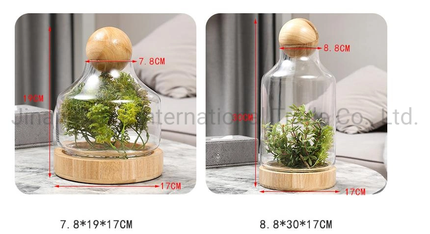 New Creative Modern Glass Vase Handicraft Immortal Flower Ornament with Wooden Ball Glass Storage Tank